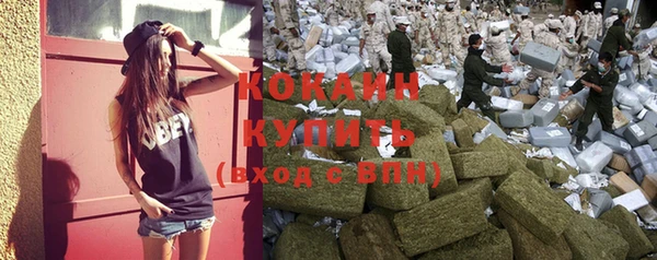 молекула духа Алзамай