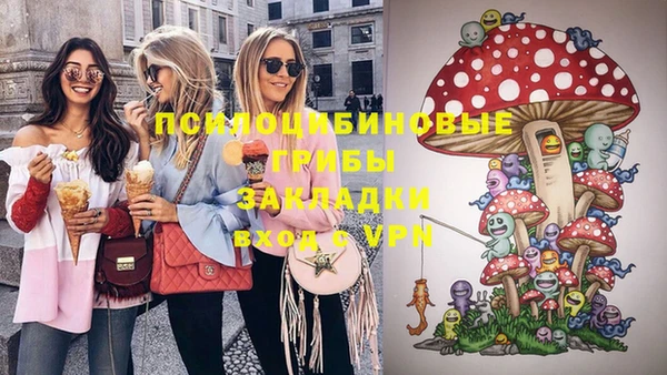 прущие грибы Армянск